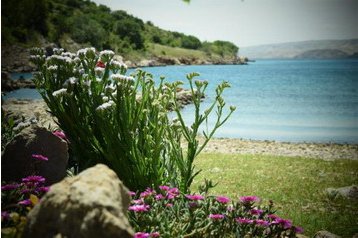 Horvātija Privát Karlobag, Eksterjers